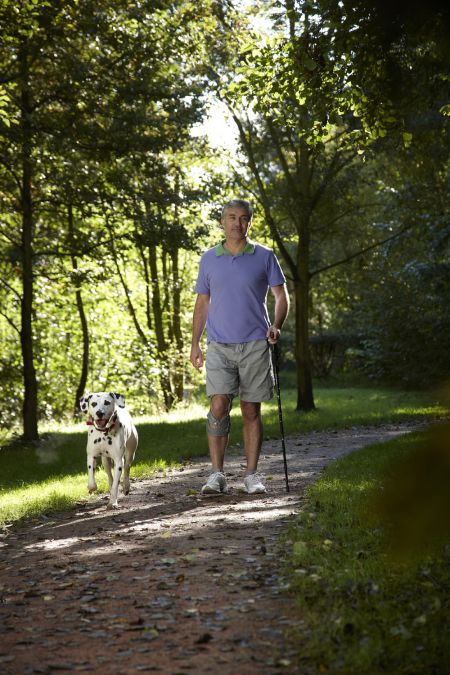 Spaziergang Hund Orthese Arthrose